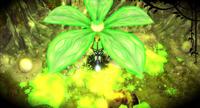 The Witch and the Hundred Knight Revival Edition - thumbnail