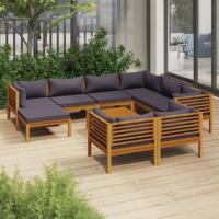 10-delige Loungeset met kussens massief acaciahout - thumbnail