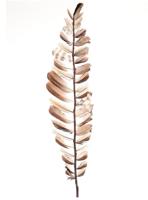 Decotak veren 60cm - thumbnail