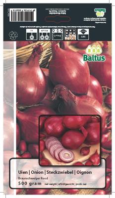 Zomer Bloembollen Uien Braunschweiger Rood (per 500 gram) Baltus - Baltus