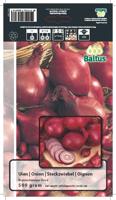 Zomer Bloembollen Uien Braunschweiger Rood (per 500 gram) Baltus - Baltus - thumbnail