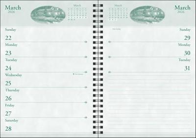 Thomas Kinkade Agenda 2026