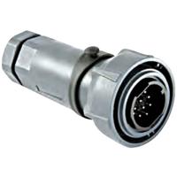 Bulgin PXP7010/32P/CR/0911 Ronde connector Stekker, recht Totaal aantal polen: 32 Serie (ronde connectoren): Buccaneer 7000 1 stuk(s) - thumbnail