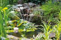 Esotec 101769 Palermos S Pompset op zonne-energie - thumbnail