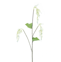 Dicentra spray cream 96 cm kunstbloem Erutan Avon - Erutan avon - thumbnail