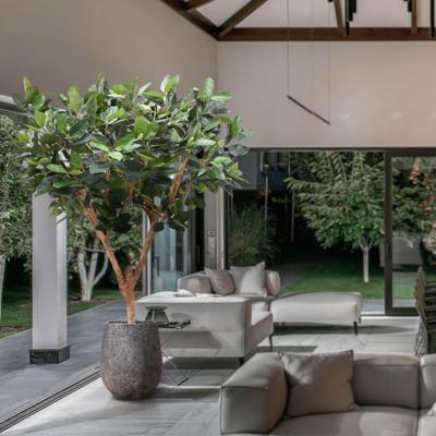 Elastica Robusta XL kunstboom 300cm groen