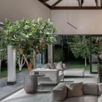 Elastica Robusta XL kunstboom 300cm groen - thumbnail