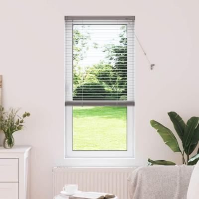 VidaXL Venetiaanse jaloezieën zilver 175 x 65 cm aluminium