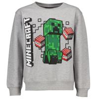 Sweater - Grijs - thumbnail