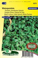 Winterpostelein zaden - thumbnail