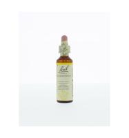 Bach Flower Remedies Hardbloem 28 - thumbnail