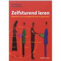 Zelfsturend leren (Paperback) - thumbnail