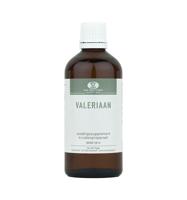 Valeriana officinalis - thumbnail