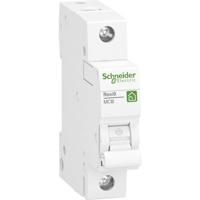 Schneider Electric R9F23125 Zekeringautomaat 25 A 230 V - thumbnail