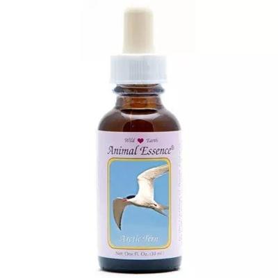Animal Essences Arctic tern (noordse stern) 30 Milliliter