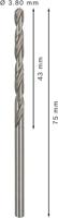 Bosch Accessoires Metaalboren HSS-G, Standard 3,8 x 43 x 75 mm 10st - 2608585484 - thumbnail