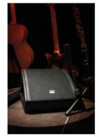 DAP M10 Actieve vloermonitor 10 inch - thumbnail