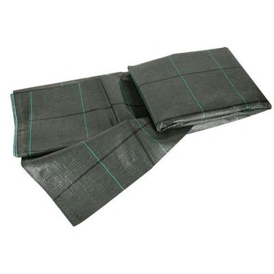 Beschermend dekzeil Fun&Go Mono-gloeidraad Groen (3 x 5 m) Beschermend dekzeil Fun&Go Mono-gloeidraad Groen (3 x 5 m)