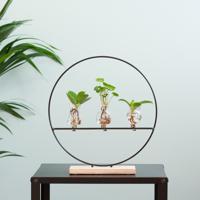 Hydroponie Mix - 3 stuks - thumbnail