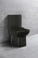 Toiletpot Aquasplash Lara Staand tbv Duoblok AO Mat Zwart Aquasplash - thumbnail