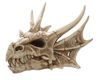 Draak Schedel Decoratie - thumbnail