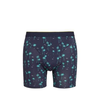 WE Fashion Fundamentals boxershort