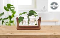 Houten Stekjesvaas - 3 Glaasjes - thumbnail