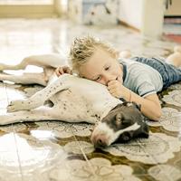 Thomas Boxer 788 119 Nat- en droogzuiger 1400 W 20 l - thumbnail