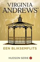 Een bliksemflits - Virginia Andrews - ebook - thumbnail
