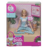 Barbie - Wellness - Meditation (Blonde) (GNK01) - thumbnail