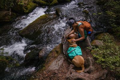 Hondenriem Flat Out New River Hondenriem Flat Out New River