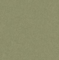 Dutch Wallcoverings Sauvage/British H. Uni - Groen - thumbnail