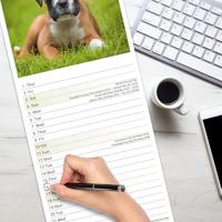 Boxer Kalender 2026 Slimline - thumbnail