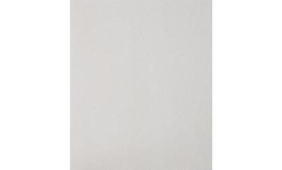 PFERD BG BR 230x280 A 444 45013044 Handschuurpapier Korrelgrootte (num) 444 (l x b) 280 mm x 230 mm 50 stuk(s)