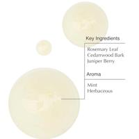 Aesop Classic Shampoo 500ml - thumbnail