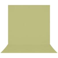 Westcott X-Drop Pro Kreukbestendig 8' x 13' (2,44 x 3,96 m) Sweep Achtergrond voor full-body foto's en groepsportretten, video-interviews en fotocabines - draagbaar en reisvriendelijk (lichtgroen mos) - thumbnail