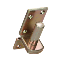 pgb-Europe FG | Plaatduim 18x45 ZnGeel FG02550021845385 - thumbnail