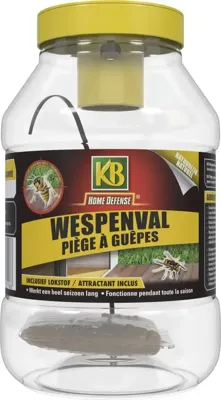 Home defense wespenval