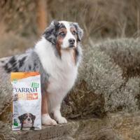 Yarrah Voedzaam biologisch droogvoer voor honden, voor alle volwassen honden, exquise biologische hondenbrokken met kip, 5 kg, 100% biologisch en vrij van kunstmatige toevoegingen - thumbnail
