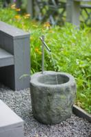 Sacramento waterornament - thumbnail