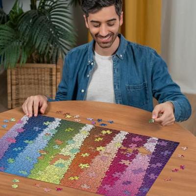 Ravensburger legpuzzel karen puzzles colour by colour, 1000st.