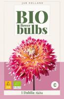 Bio dahlia Akita - thumbnail