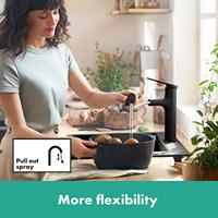 Hansgrohe Zesis M33 ééngreeps keukenkraan 160 met metalen uittrekbare vuistdouche, 2jet, mat zwart - thumbnail