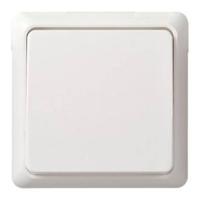 ELSO universele schakelaar 501604 10A complete RENOVATIE rw Wit 1 stuk(s) - thumbnail