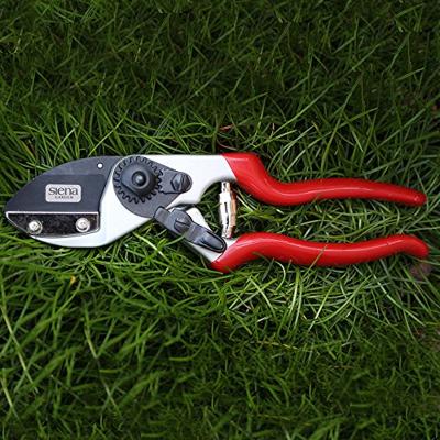 Siena Garden CG1090 Grasschaar 21 cm Amboss
