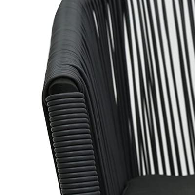 VidaXL Tuinstoelen 2 st pe-rattan zwart VidaXL Tuinstoelen 2 st pe-rattan zwart