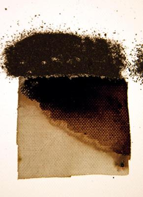 Powertex • bister poeder 30g black