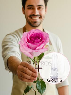 Enkele roze roos inclusief vaasje - Revival