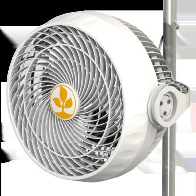 Secret Jardin Secret Jardin Monkey Fan