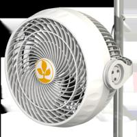 Secret Jardin Secret Jardin Monkey Fan - thumbnail